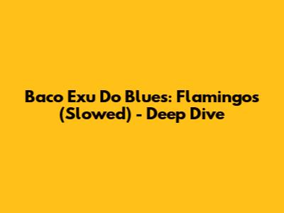 Baco Exu Do Blues: Flamingos (Slowed) - Deep Dive