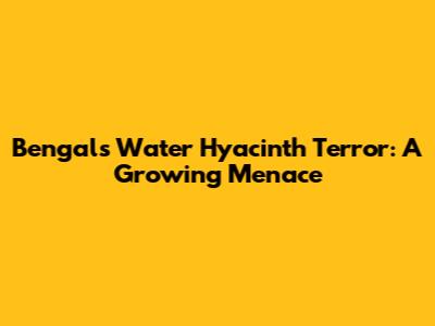 Bengal's Water Hyacinth Terror: A Growing Menace