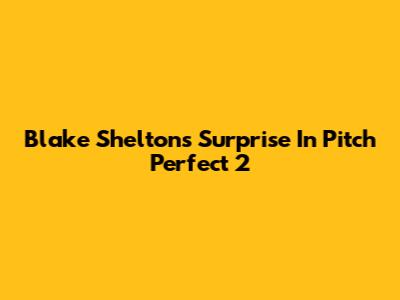 Blake Shelton's Surprise In Pitch Perfect 2