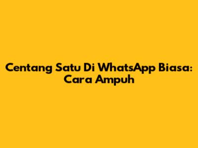 Centang Satu Di WhatsApp Biasa: Cara Ampuh