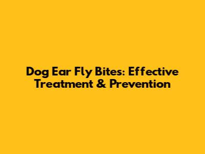 Dog Ear Fly Bites: Effective Treatment & Prevention