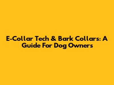 E-Collar Tech & Bark Collars: A Guide For Dog Owners