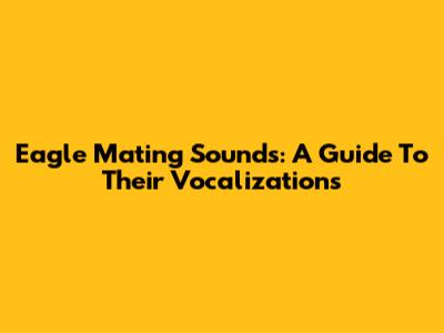 Eagle Mating Sounds: A Guide To Their Vocalizations