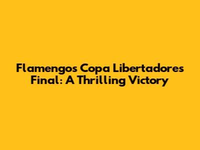 Flamengo's Copa Libertadores Final: A Thrilling Victory