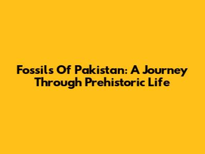 Fossils Of Pakistan: A Journey Through Prehistoric Life