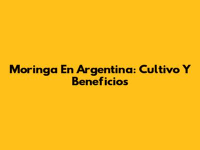 Moringa En Argentina: Cultivo Y Beneficios