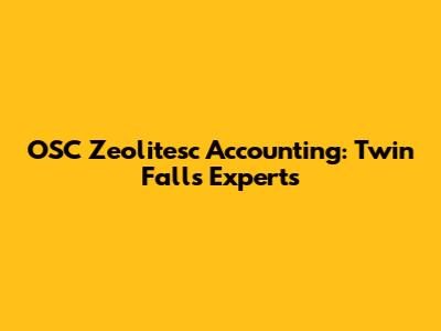 OSC Zeolitesc Accounting: Twin Falls Experts