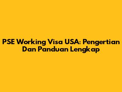 PSE Working Visa USA: Pengertian Dan Panduan Lengkap