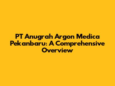 PT Anugrah Argon Medica Pekanbaru: A Comprehensive Overview