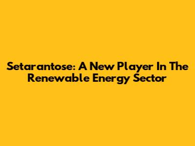 Setarantose: A New Player In The Renewable Energy Sector