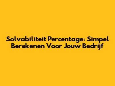 Solvabiliteit Percentage: Simpel Berekenen Voor Jouw Bedrijf
